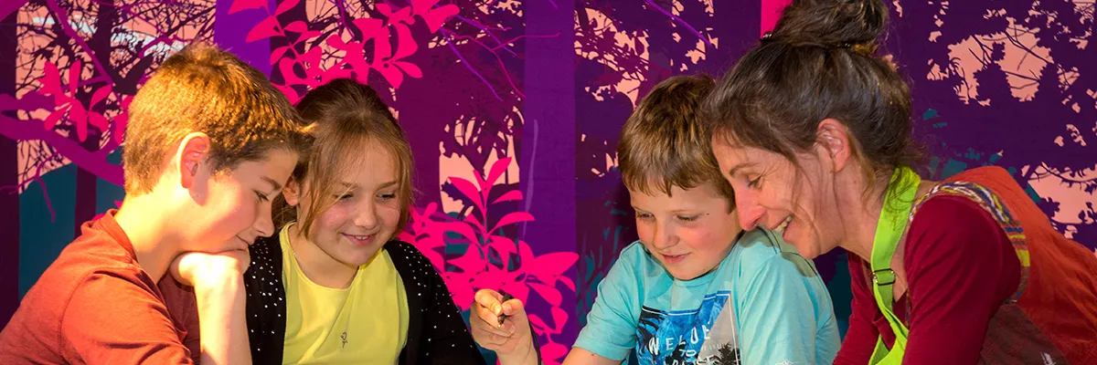 Houtopia - Découvrir la pédagogie