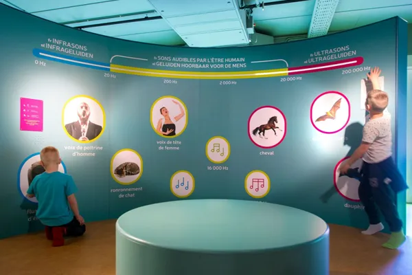 Houtopia Plaine de jeux extérieure