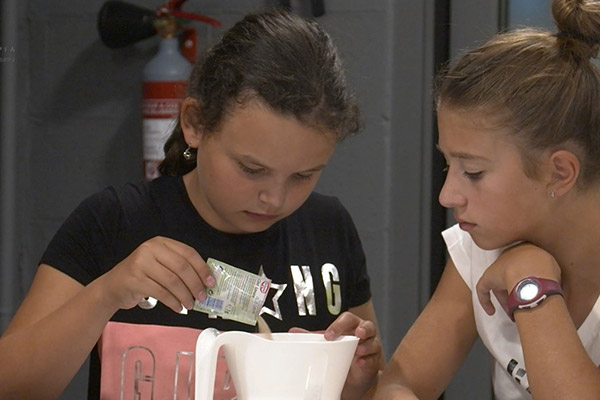 Houtopia - Micro-organismes